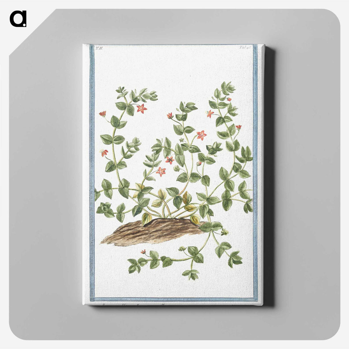 1-34_Hortus-Romanus-Botanical-Plates_canvas