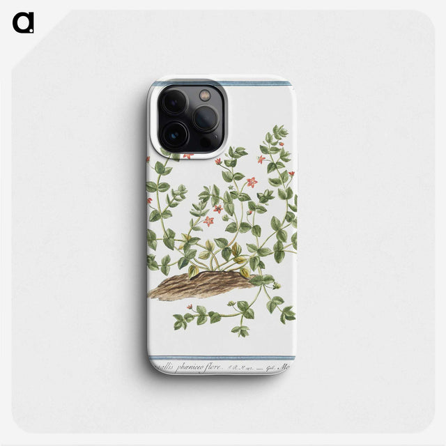 1-34_Hortus-Romanus-Botanical-Plates_phone