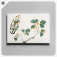 1-34_Hu-Zhengyan_canvas