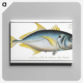 1-34_Ichtyologie-ou-Histoire-naturelle_canvas