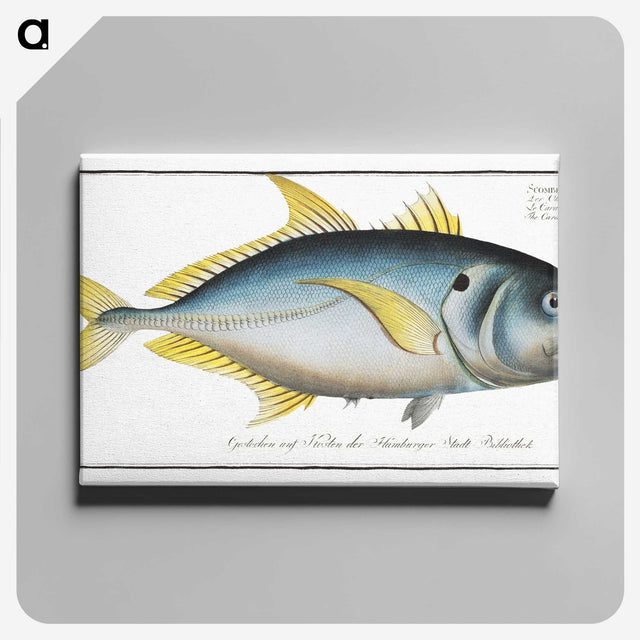 1-34_Ichtyologie-ou-Histoire-naturelle_canvas