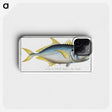 1-34_Ichtyologie-ou-Histoire-naturelle_phone