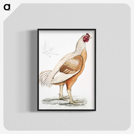 1-34_Indian-Zoology_blk-crop