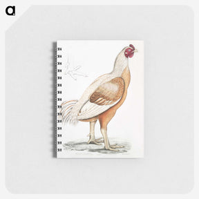 1-34_Indian-Zoology_memo