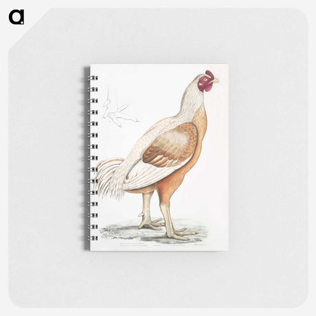 1-34_Indian-Zoology_memo