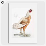 1-34_Indian-Zoology_picture