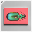 1-34_Insects-Unlocked-Project_canvas