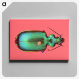 1-34_Insects-Unlocked-Project_canvas