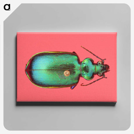 1-34_Insects-Unlocked-Project_canvas