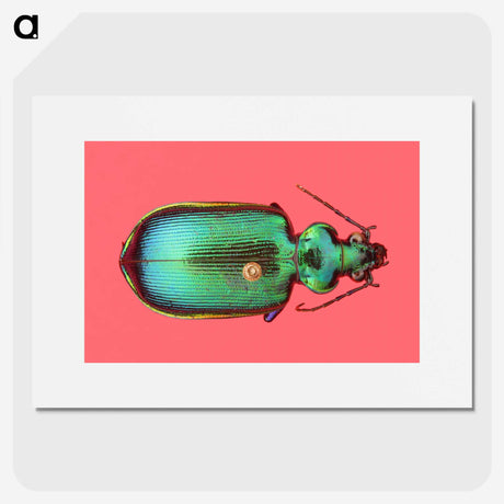 1-34_Insects-Unlocked-Project_picture