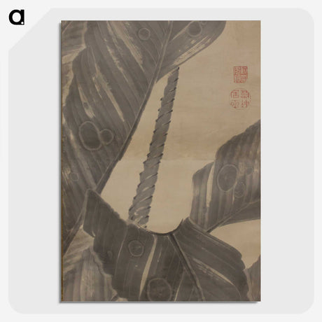 1-34_Ito-Jakuchu_picture-crop