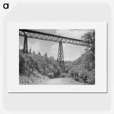1-34_James-Walter-Chapman-Taylor_picture