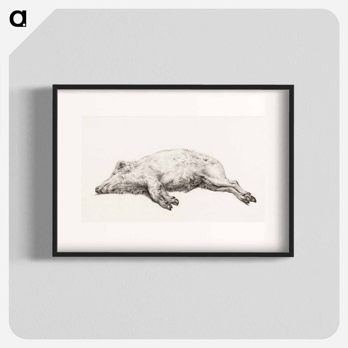 Lying pig - Jean Bernard Poster.