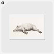アートポストカード-Lying pig - ジャン ベルナール Postcard.