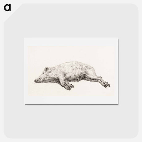 アートポストカード-Lying pig - ジャン ベルナール Postcard.