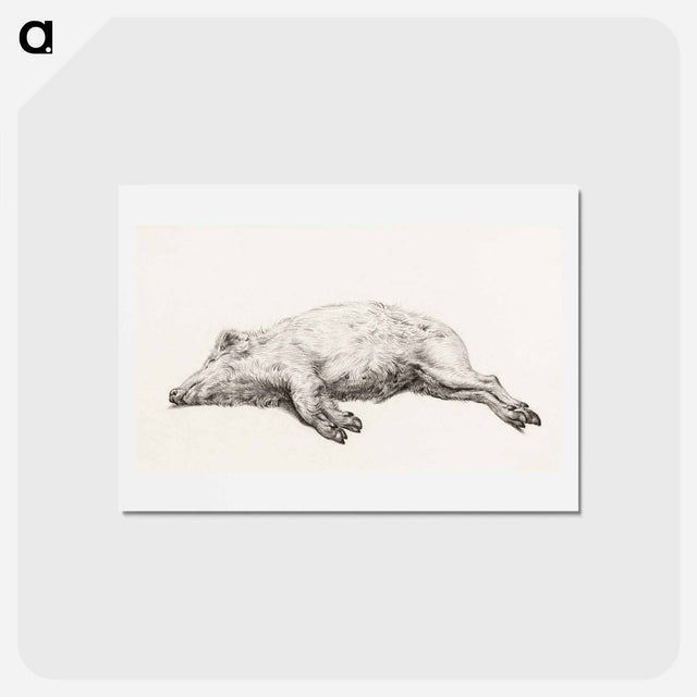アートポストカード-Lying pig - ジャン ベルナール Postcard.
