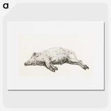 1-34_Jean-Bernard_picture