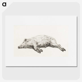 1-34_Jean-Bernard_picture