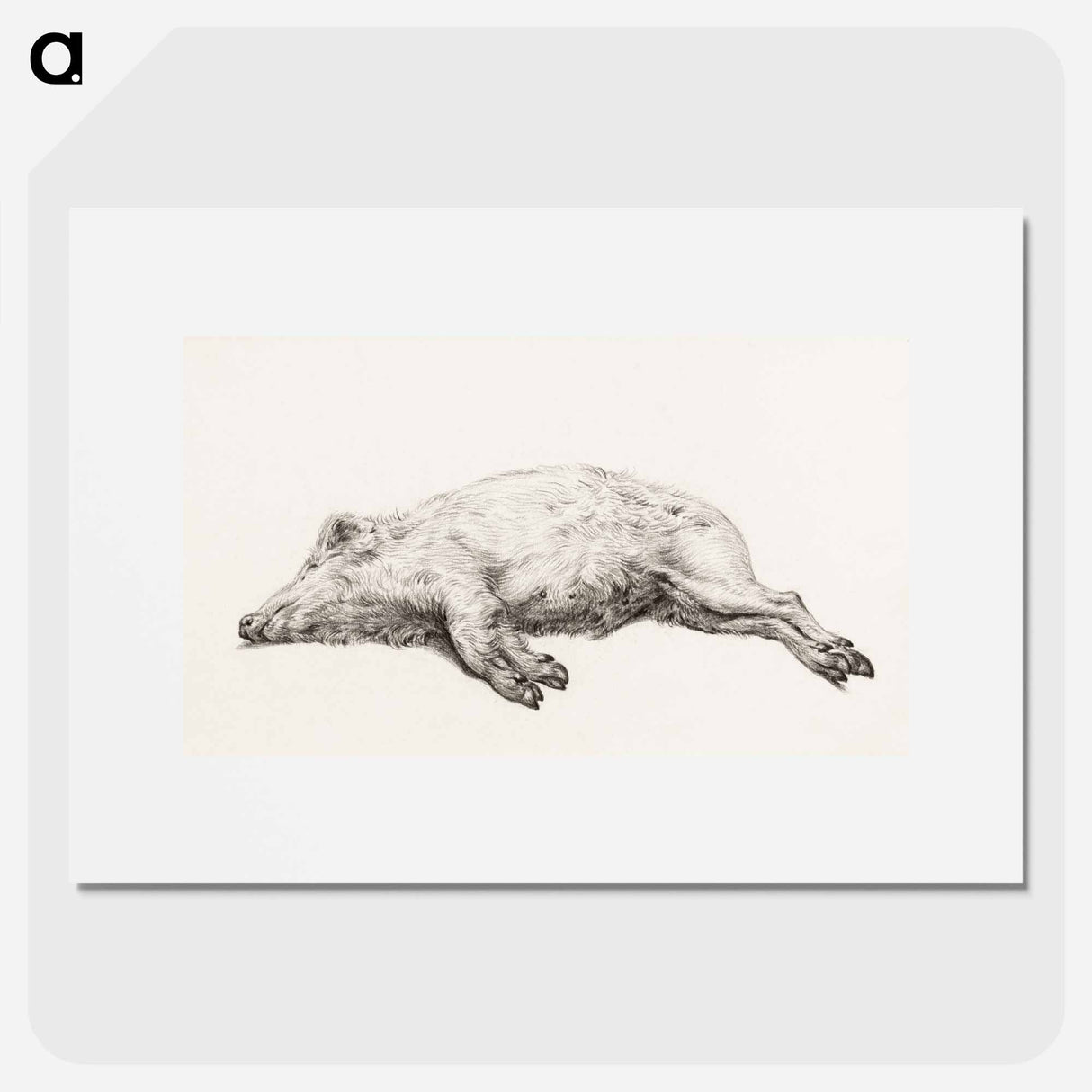 Lying pig - Jean Bernard Poster.