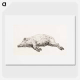 Lying pig - Jean Bernard Poster.