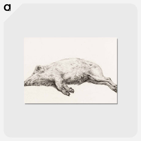 アートポストカード-Lying pig - ジャン ベルナール Postcard.