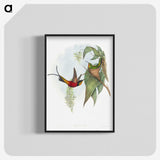1-34_John-Gould_blk-crop