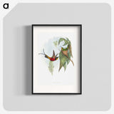 1-34_John-Gould_blk