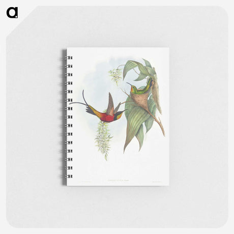 1-34_John-Gould_memo