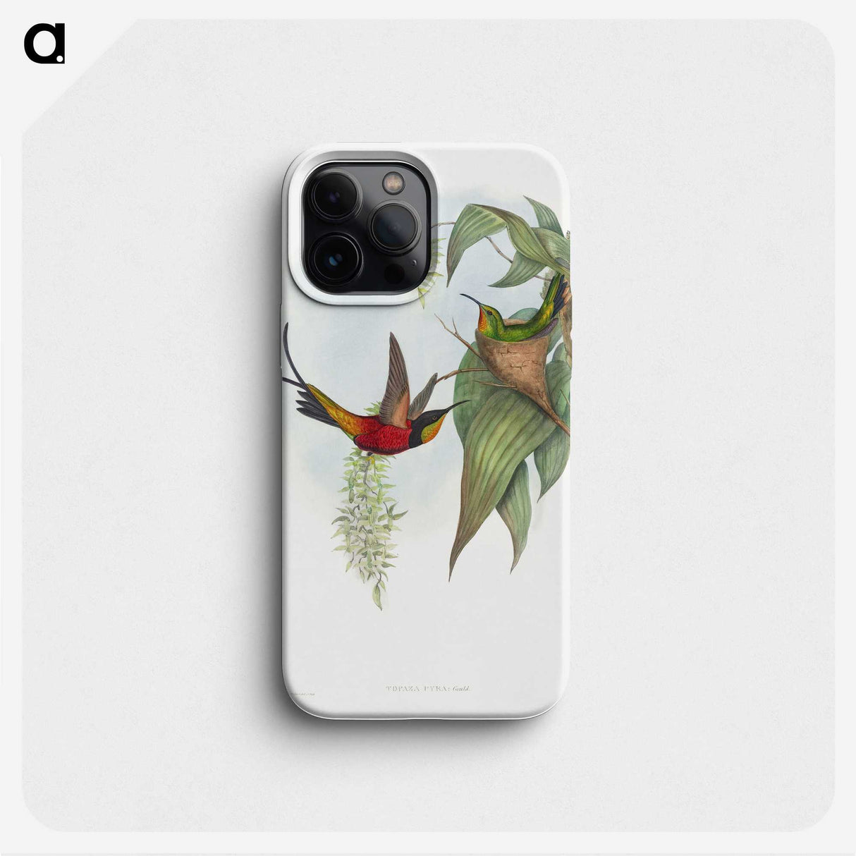 1-34_John-Gould_phone