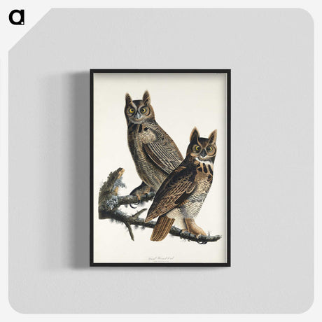 1-34_John-James-Audubon_blk-crop