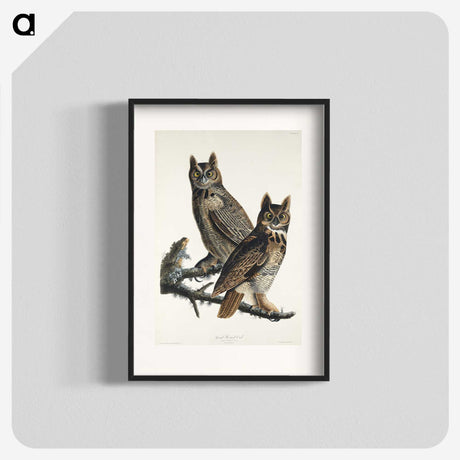 1-34_John-James-Audubon_blk