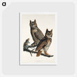 アートポストカード-Great Horned Owl
 - ジョン ジェームス オーデュボン Postcard.