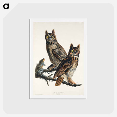 アートポストカード-Great Horned Owl
 - ジョン ジェームス オーデュボン Postcard.