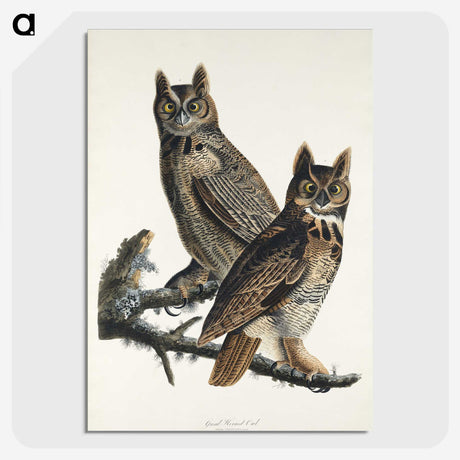 1-34_John-James-Audubon_picture-crop