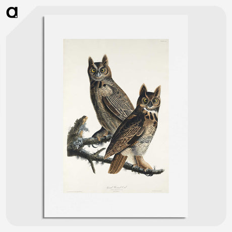 1-34_John-James-Audubon_picture