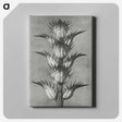 1-34_Karl-Blossfeldt_canvas