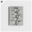 1-34_Karl-Blossfeldt_memo