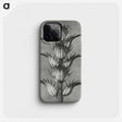 1-34_Karl-Blossfeldt_phone