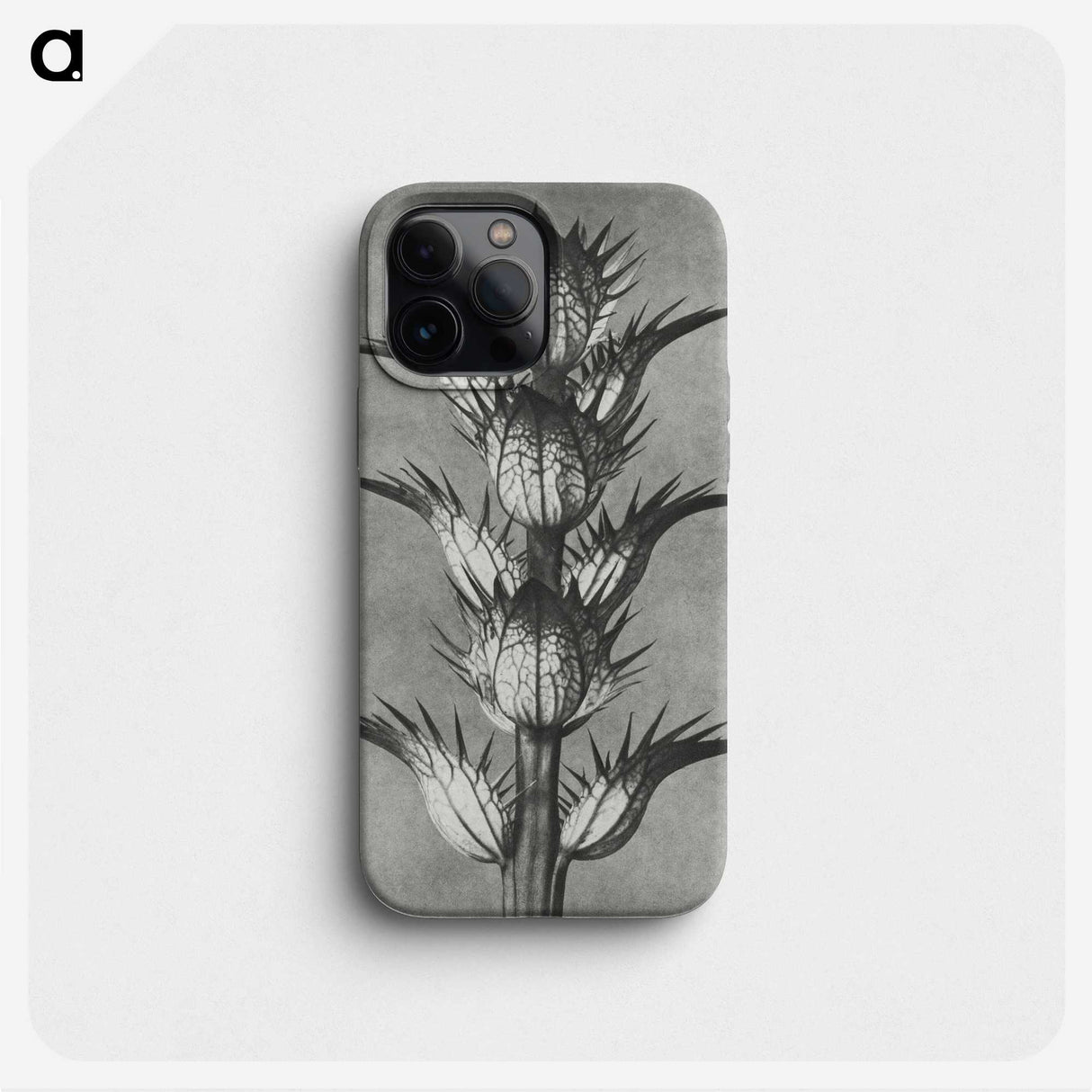 1-34_Karl-Blossfeldt_phone