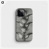 1-34_Karl-Blossfeldt_phone