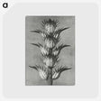 1-34_Karl-Blossfeldt_postcard