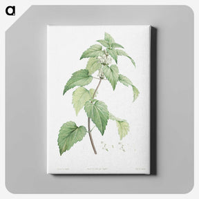 1-34_La-Botanique_canvas