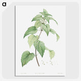 1-34_La-Botanique_picture-crop