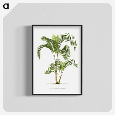 1-34_Les-Palmiers-Histoire-Iconographique_blk-crop