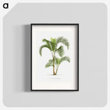 1-34_Les-Palmiers-Histoire-Iconographique_blk
