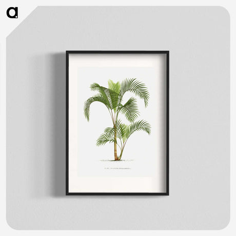 1-34_Les-Palmiers-Histoire-Iconographique_blk