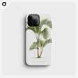 1-34_Les-Palmiers-Histoire-Iconographique_phone