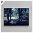 1-34_Leslie-Adkin_canvas