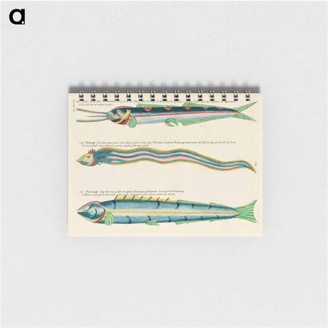 アートメモ帳-Moluccan Fishes
 - ルイ ルナール Memo.