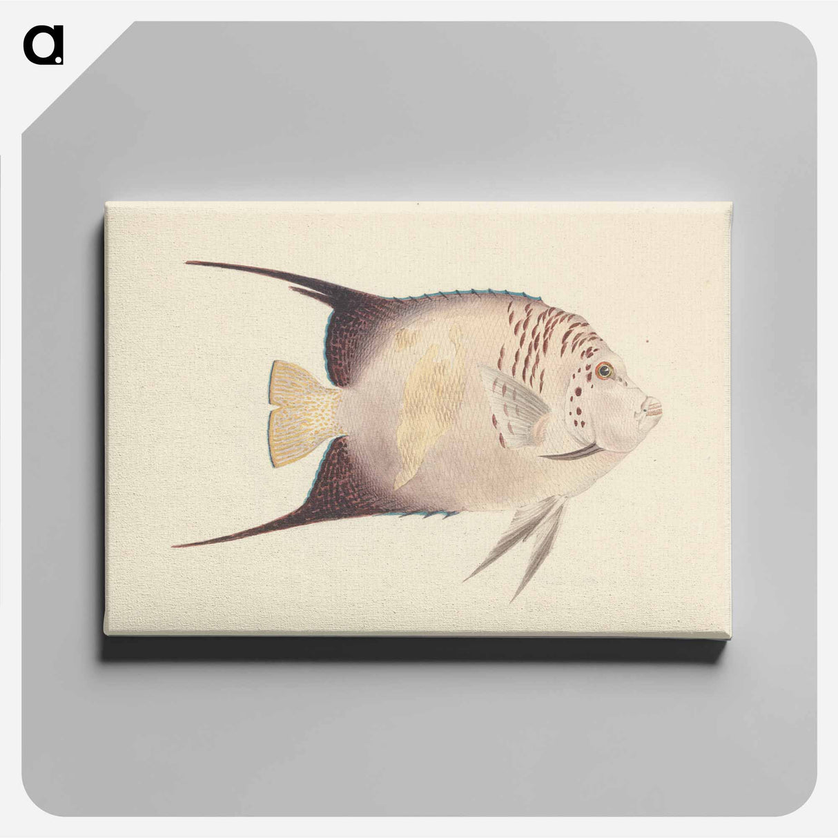 アートパネル-Unidentified Fish
 - ルイージ バルガーニ Canvas.